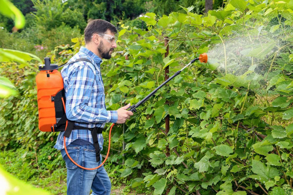 Опрыскиватель ранцевый аккумуляторный "Жук Классик Электро" 16 л. (ОРА-416) [3581-00]